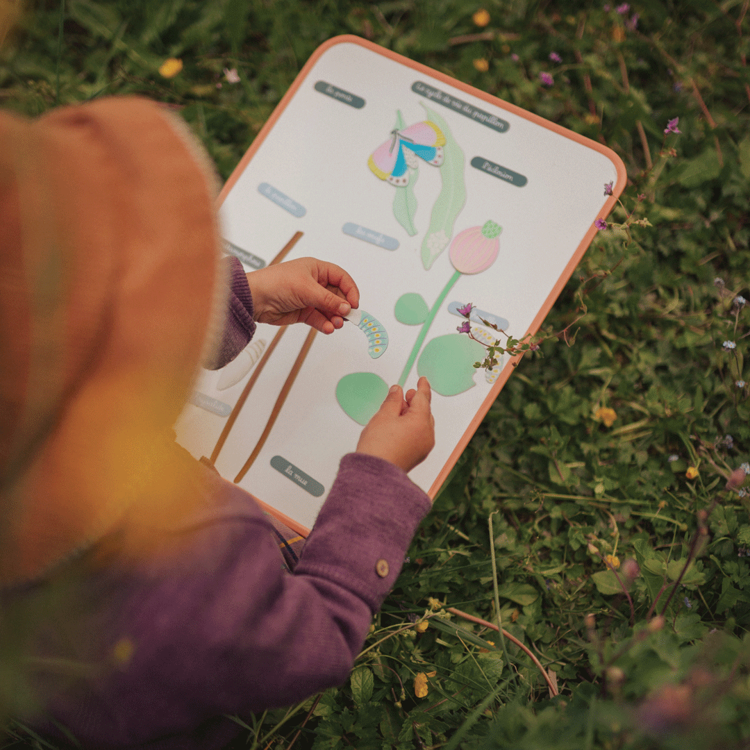 Jeu magnétique Le Cycle du Papillon